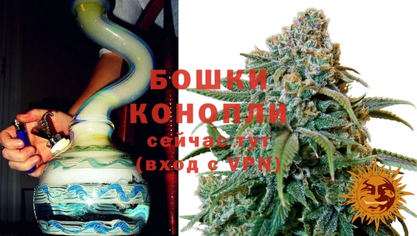 индика Аркадак