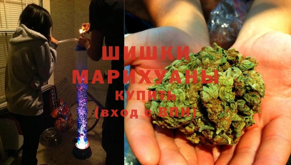 индика Аркадак