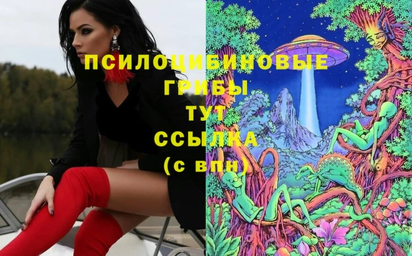 прущие крисы Арсеньев