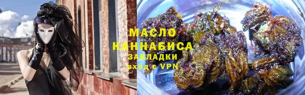индика Аркадак