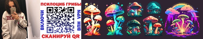 Псилоцибиновые грибы Psilocybine cubensis Москва